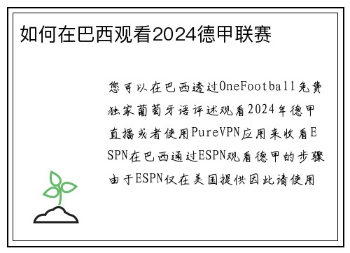 如何在巴西观看2024德甲联赛